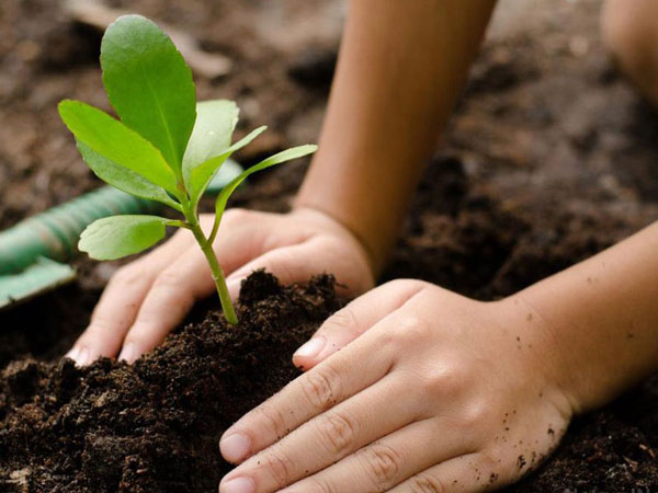 Corporate Social Responsibility